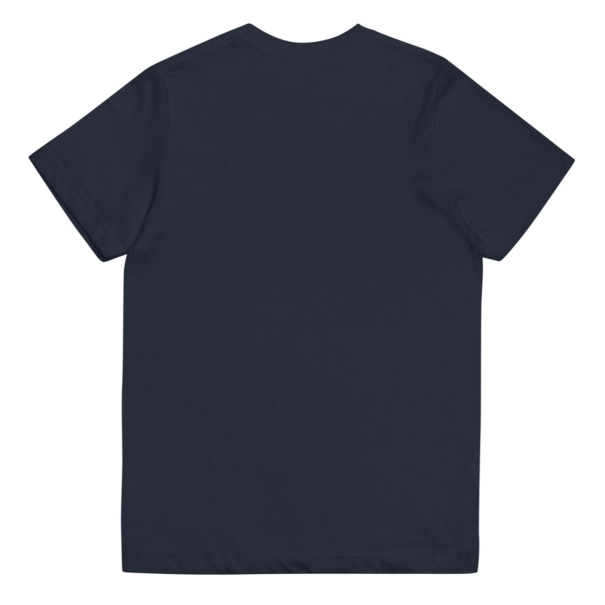 ⚫️Desired Paintings Youth Jersey Tee