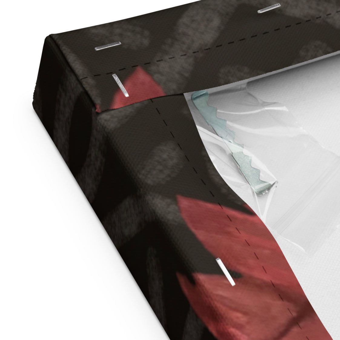 OX Flower Bomb Canvas Print