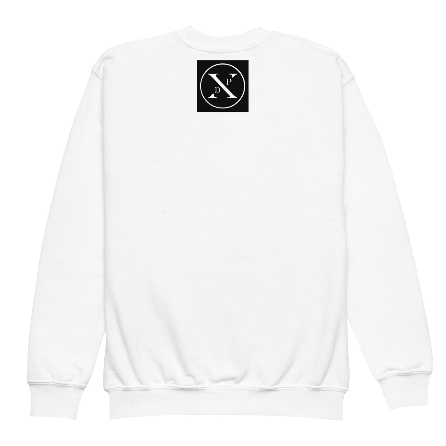 ⚫️Desired Paintings Youth Crewneck Sweatshirt